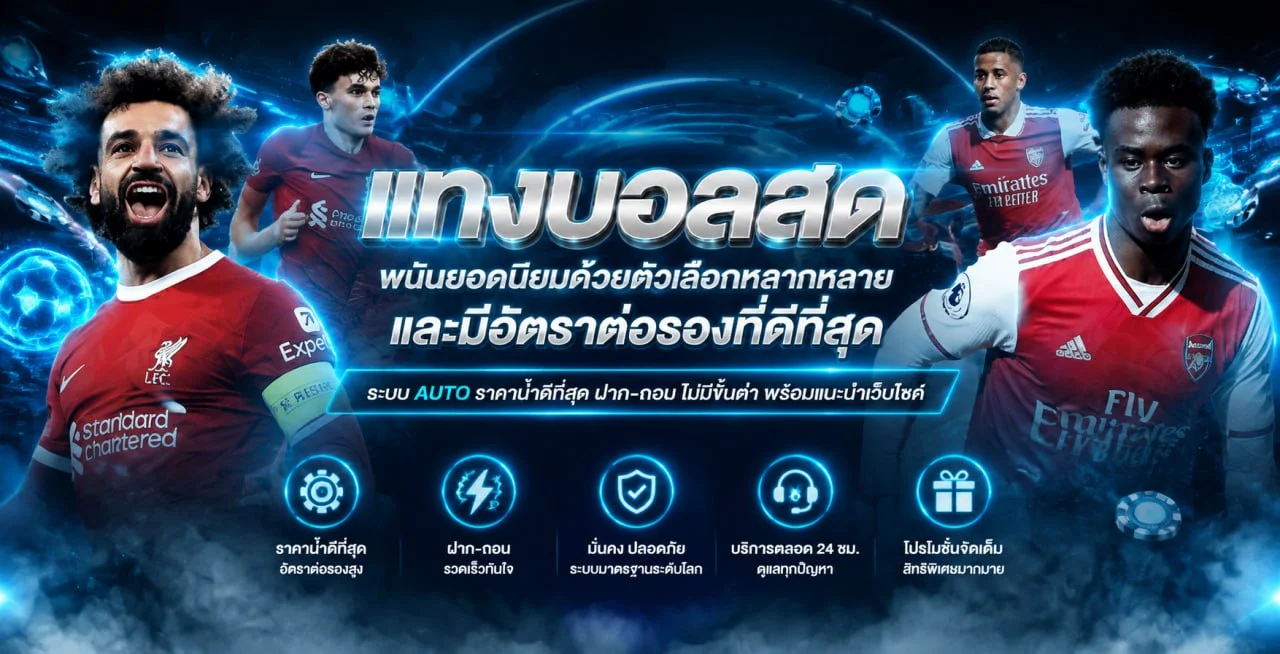 แบนเนอร์หน้าแรก KIMCHIBET เว็บตรง รวมสล็อต คาสิโนสด และแทงบอล